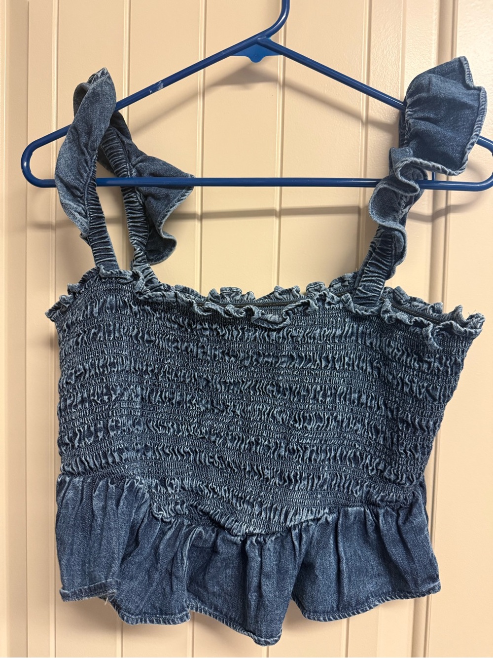 American Eagle Outfitters Blue Smocked Ruffle Crop Top